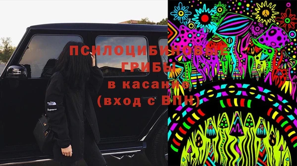 гашик Балабаново
