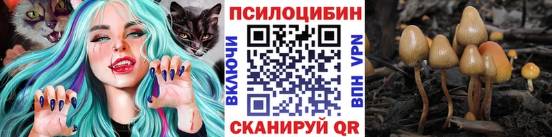 где продают наркотики  MEGA ONION  Галлюциногенные грибы Psilocybe  Салаир 